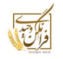 نان فانتزی پارسا